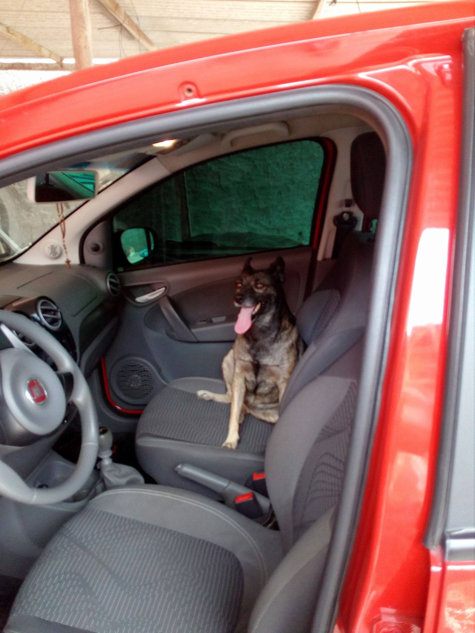 ventura pasiando de carro